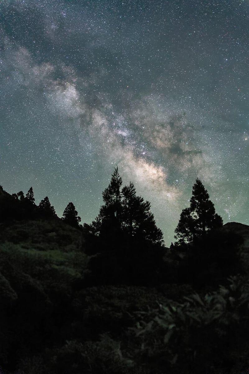 Virtual Tour of Night Sky